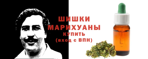 дмт Надым